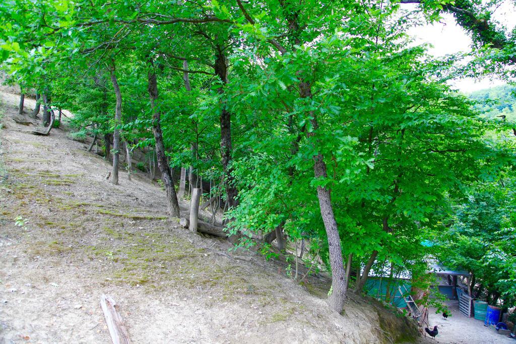 Agriturismo Biologico Villa Rosa Monte Guiduccio 외부 사진