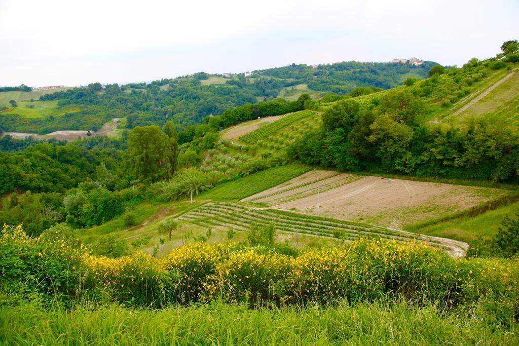 Agriturismo Biologico Villa Rosa Monte Guiduccio 외부 사진