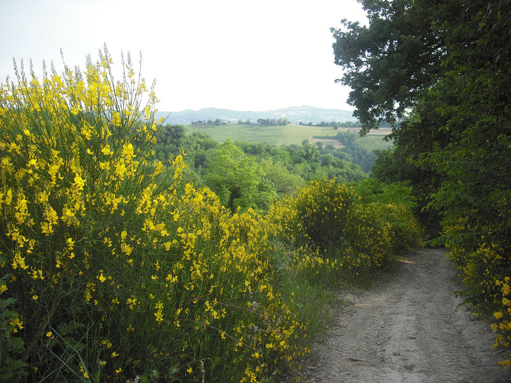 Agriturismo Biologico Villa Rosa Monte Guiduccio 외부 사진